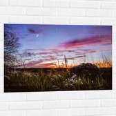 WallClassics - Muursticker - Roze Wolken in de Lucht - 90x60 cm Foto op Muursticker