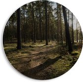 WallClassics - Cercle mural en panneau de mousse PVC - Ombre sur le chemin forestier - Photo 40x40 cm sur cercle mural (avec système de suspension)