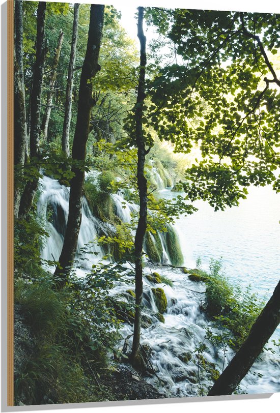 WallClassics - Hout - Waterval tussen de Bomen door - 80x120 cm - 12 mm dik - Foto op Hout (Met Ophangsysteem)