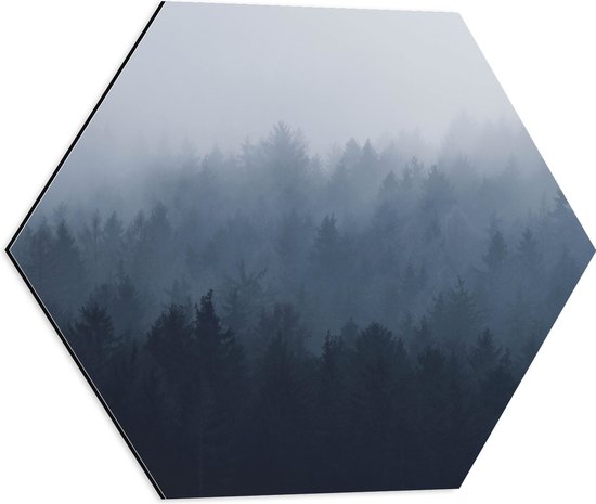 WallClassics - Dibond Hexagon - Bos in de Mist - 50x43.5 cm Foto op Hexagon (Met Ophangsysteem)