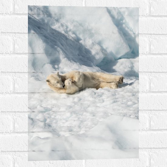 WallClassics - Muursticker - Slapende IJsbeer in de Sneeuw - 40x60 cm Foto op Muursticker