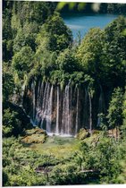 WallClassics - Panneau en mousse PVC – Chutes d'eau depuis les Arbres vers le bas – Photo 50 x 75 cm sur panneau en mousse PVC