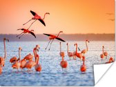 PosterMonkey - Poster - Fotolijst - Vogel - Flamingo - Zonsondergang - Water - Tropisch - 120x90 cm - Poster in lijst - Poster flamingo - Poster frame - Poster dieren