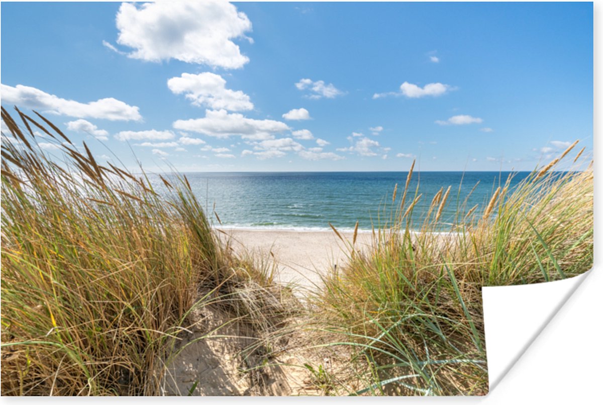 Poster Duin - Gras - Zee - Strand - 60x40 cm