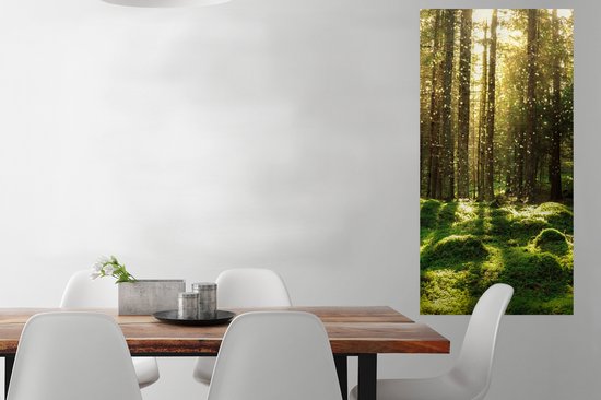 Affiche Arbres - Forêt - Mousse - Plantes - Soleil - Nature - 60x120 cm