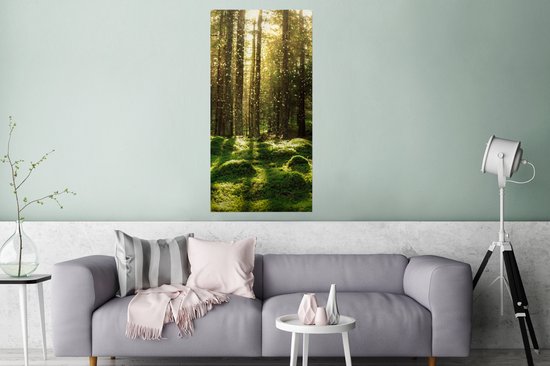 Affiche Arbres - Forêt - Mousse - Plantes - Soleil - Nature - 60x120 cm