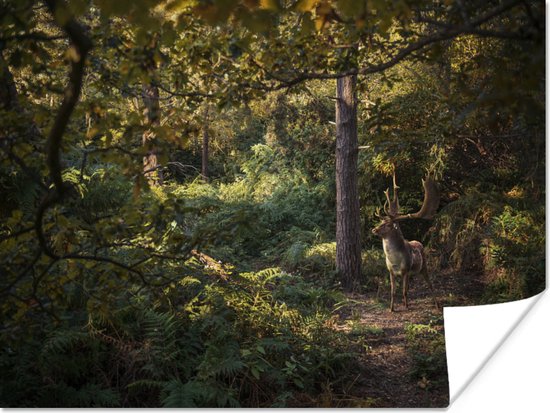 Hert lopend in een bos in de herfst poster papier 80x60 cm - Foto print op Poster (wanddecoratie woonkamer / slaapkamer) / Wilde dieren Poster
