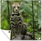 Affiche de Jardin Ocelot entre les feuilles de la jungle au Costa Rica - 200x200 cm - Toile jardin - Affiche extérieure