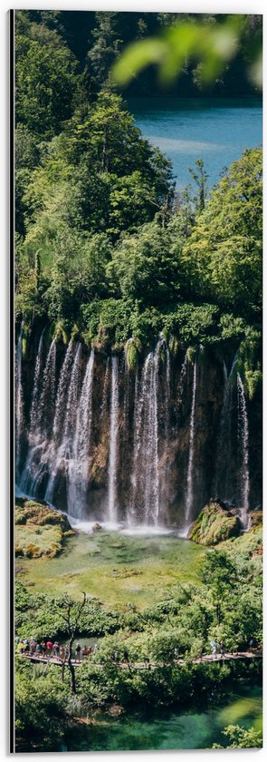 WallClassics - Dibond - Watervallen vanuit Bomen naar Beneden - 20x60 cm Foto op Aluminium (Met Ophangsysteem)