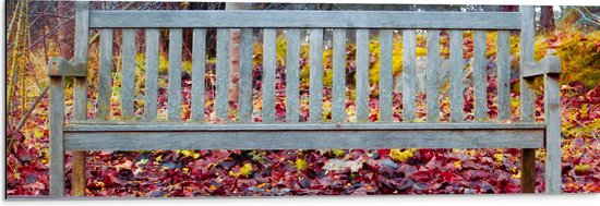 WallClassics - Dibond - Wit Bankje in Herfstbos - 90x30 cm Foto op Aluminium (Wanddecoratie van metaal)