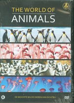 The World of Animals