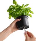 Handen houden een pot met basilicumplant, met touwtje voor bewatering.