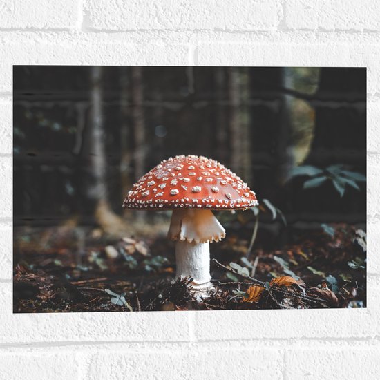 WallClassics - Muursticker - Vliegenzwam met Herfstbladeren - 40x30 cm Foto op Muursticker