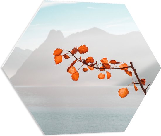 WallClassics - PVC Schuimplaat Hexagon  - Oranje Bladeren aan Tak voor Bergen - 60x52.2 cm Foto op Hexagon (Met Ophangsysteem)
