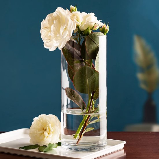 Casa Vivente Vase à fleurs rond en verre transparent, vase en verre pour  fleurs... | bol