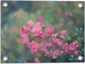 WallClassics - Poster de Jardin - Brindille Fleur Rose - 40x30 cm Photo sur Poster de Jardin (décoration murale pour l'extérieur et l'intérieur)