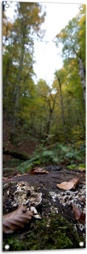 WallClassics - Poster de jardin - Feuilles d'automne en forêt - 40x120 cm Photo sur Poster de jardin (décoration murale pour l'extérieur et l'intérieur)