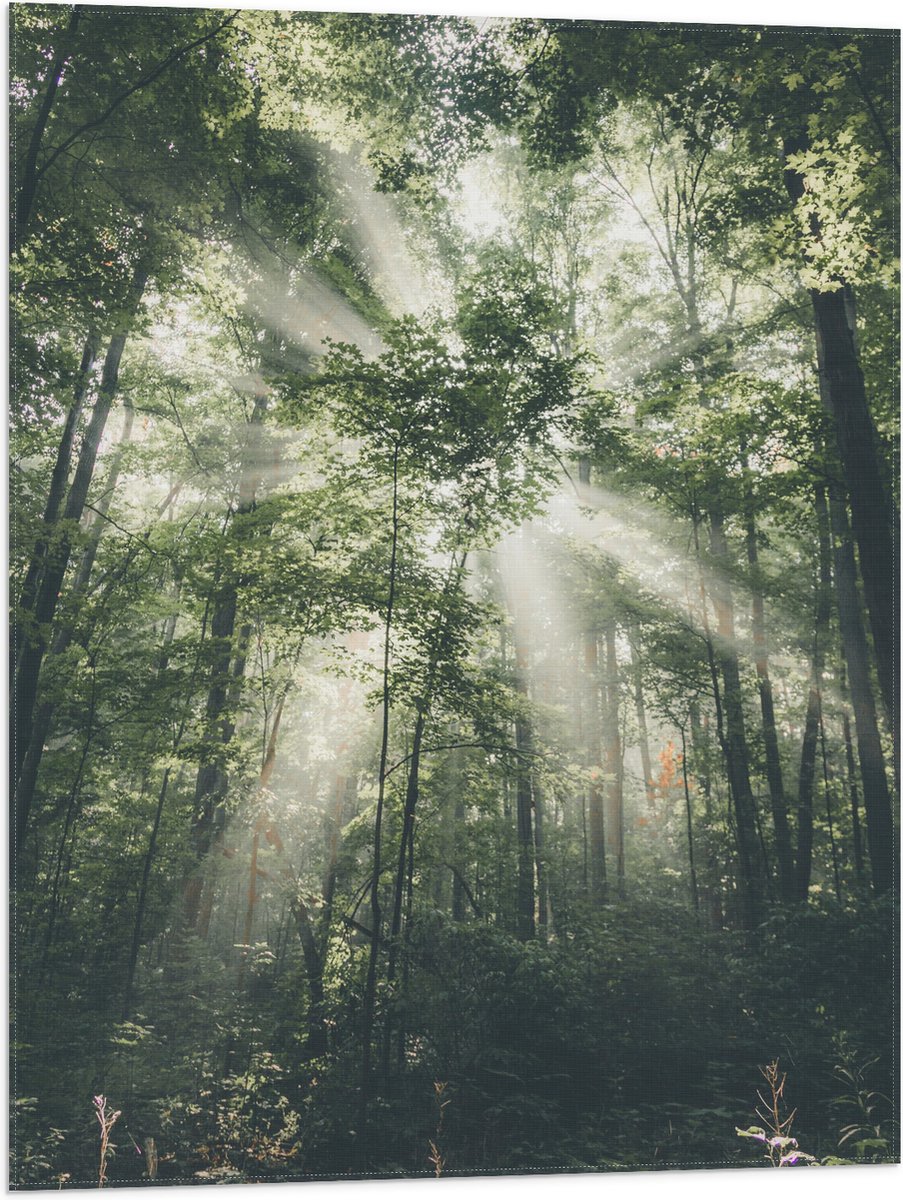 DRAPEAU à AXE CENTRAL 60 X 120 Cm / 24" X 48" Mini Meat Axe Flag | KEY LITE