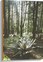 WallClassics - Hout - Grote Groene Varenplant in Bos - 50x75 cm - 12 mm dik - Foto op Hout (Met Ophangsysteem)