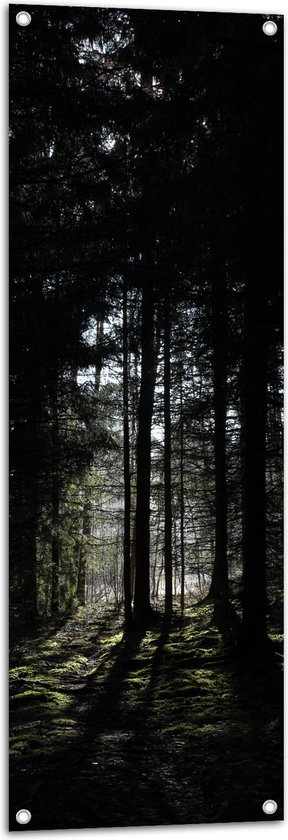 WallClassics - Poster de Jardin - Silhouette d' Arbres en Forêt - 40x120 cm Photo sur Poster de Jardin (décoration murale pour l'extérieur et l'intérieur)