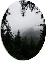 WallClassics - Panneau de mousse PVC ovale - Brouillard dans les Montagnes - 42x56 cm Photo sur ovale (avec système de suspension)