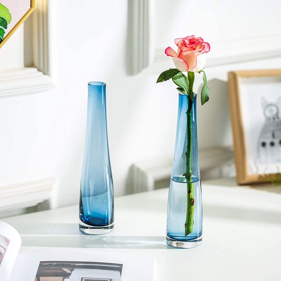 Worstelen Ontrouw Executie Kleine glazen vaas voor bloemen, 2 stuks blauwe eenvoudige knop vaas lange  dunne... | bol.com