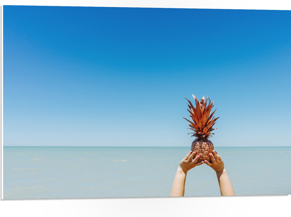 PVC Schuimplaat- Ananas boven de Zee - 75x50 cm Foto op PVC Schuimplaat