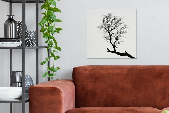 Silhouette d'une branche d'arbre 50x50 cm - Tirage photo sur toile (Décoration murale salon / chambre)