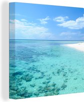 Toile de mer transparente 2cm