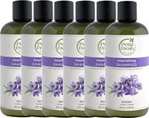PETAL FRESH - Shampoo Lavender - 6 Pak - voordeelverpakking