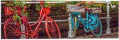 WallClassics - Vlag - Rood/Blauwe Fietsen met Bloemen Gevuld - 60x20 cm Foto op Polyester Vlag