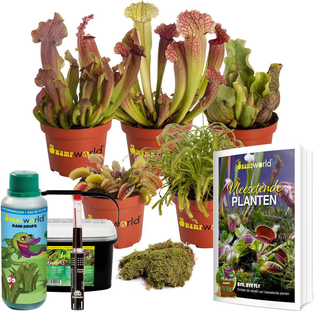 Swampworld Vleesetende planten DIY Terrarium Set 5 1 Venus vliegenval