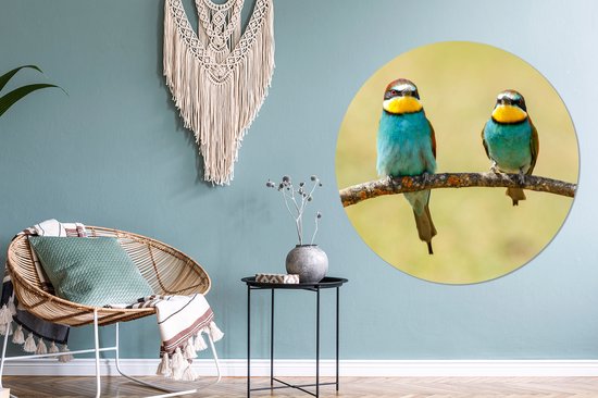 WallCircle - Cercle Mural - Cercle Mural - Vogels - Animaux - Guêpier - Aluminium - Dibond - 140x140 cm - Intérieur et Extérieur