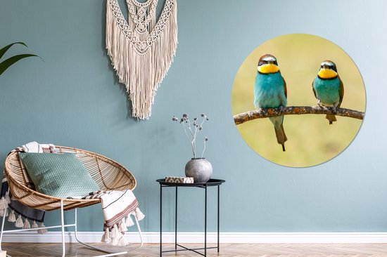 WallCircle - Cercle Mural - Cercle Mural - Vogels - Animaux - Guêpier - Aluminium - Dibond - 90x90 cm - Intérieur et Extérieur