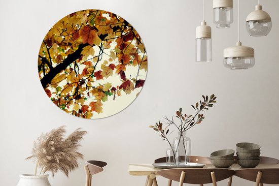 WallCircle - Wall Circle - Wall Circle Indoor - Arbres - Feuilles d'Automne - Nature - 120x120 cm - Décoration murale - Peintures Ronds XXL