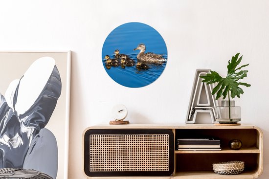 Cercle mural - Cercle mural - Canard - Water - Vogel - Marron - Plastique - Décoration murale ronde - ⌀ 30 cm - Cercle mural animaux - Décoration murale ronde - Tableaux ronds