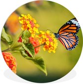 WallCircle - Muurcirkel - Wandcirkel - Vlinders - Bloemen - Natuur - Oranje - Kunststof - Ronde wanddecoratie - Muurcirkel binnen - ⌀ 30 cm - Ronde schilderijen