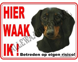 Korthaar Teckel 154...ondergrond:wit...formaat:15x20cm...(Hier waak ik!)....(Rood/zwart+full color afb.)