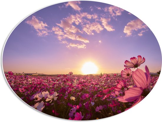 WallClassics - PVC Schuimplaat Ovaal - Veld Roze Bloemen met Paarse Lucht - 56x42 cm Foto op Ovaal  (Met Ophangsysteem)