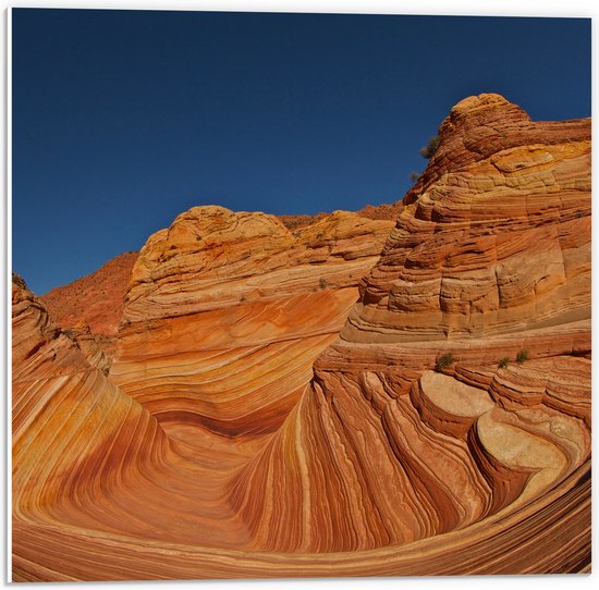 WallClassics - PVC Schuimplaat - The Wave - Amerika Berglandschap - 50x50 cm Foto op PVC Schuimplaat (Met Ophangsysteem)