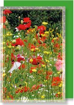 6 Wenskaarten met gekleurde envelop - MGPcards - Blanco - Bloemen - 11,5 x 17 cm