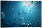WallClassics - Dibond - Luchtbellen onder Water - 60x40 cm Foto op Aluminium (Wanddecoratie van metaal)