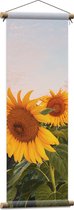 WallClassics - Affiche textile - Tournesols dans le champ - 30x90 cm Photo sur textile