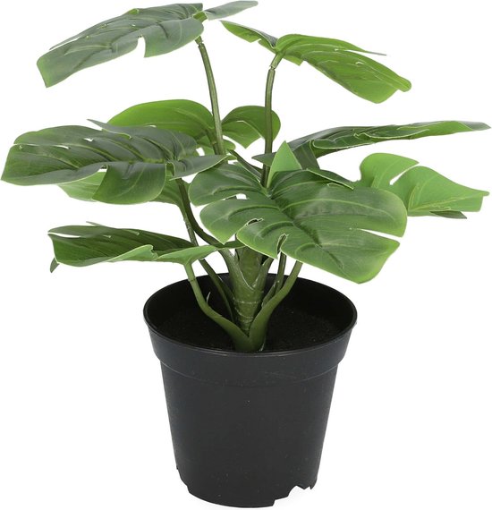 HOMLA Monstera Kunst Potplant Groen Levensecht - Bloem Plant Groene Plant Decoratie - Bestand tegen beschadiging en UV-stralen - Kunststof 29 cm