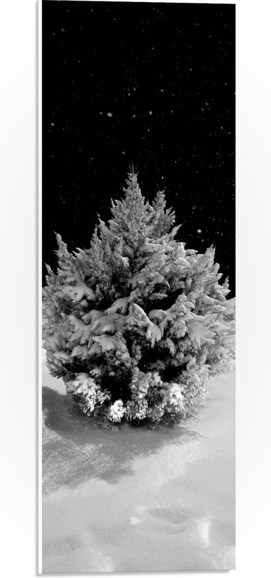 WallClassics - PVC Schuimplaat - Wit Besneeuwde Kerstboom in het Donker - 20x60 cm Foto op PVC Schuimplaat (Met Ophangsysteem)