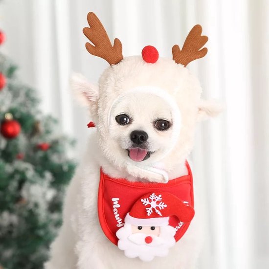 Kerstpak voor je kleine hond of kat -muts en sjaal- Maat S- kerstcadeau - hondenkleding- huisdier- feestdagen- rendier muts