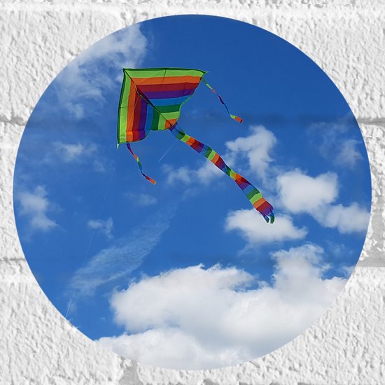 WallClassics - Muursticker Cirkel - Regenboog Vlieger in de Lucht - 20x20 cm Foto op Muursticker