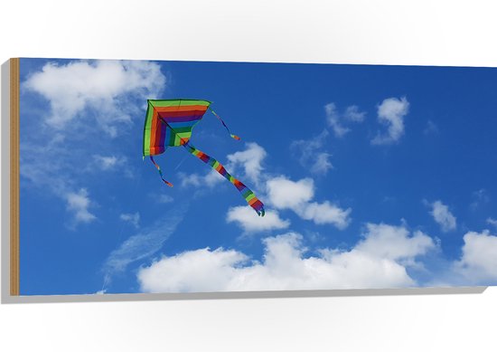 WallClassics - Hout - Regenboog Vlieger in de Lucht - 100x50 cm - 12 mm dik - Foto op Hout (Met Ophangsysteem)