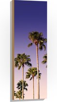 WallClassics - Hout - Palmboomtoppen in de lucht - 30x90 cm - 12 mm dik - Foto op Hout (Met Ophangsysteem)