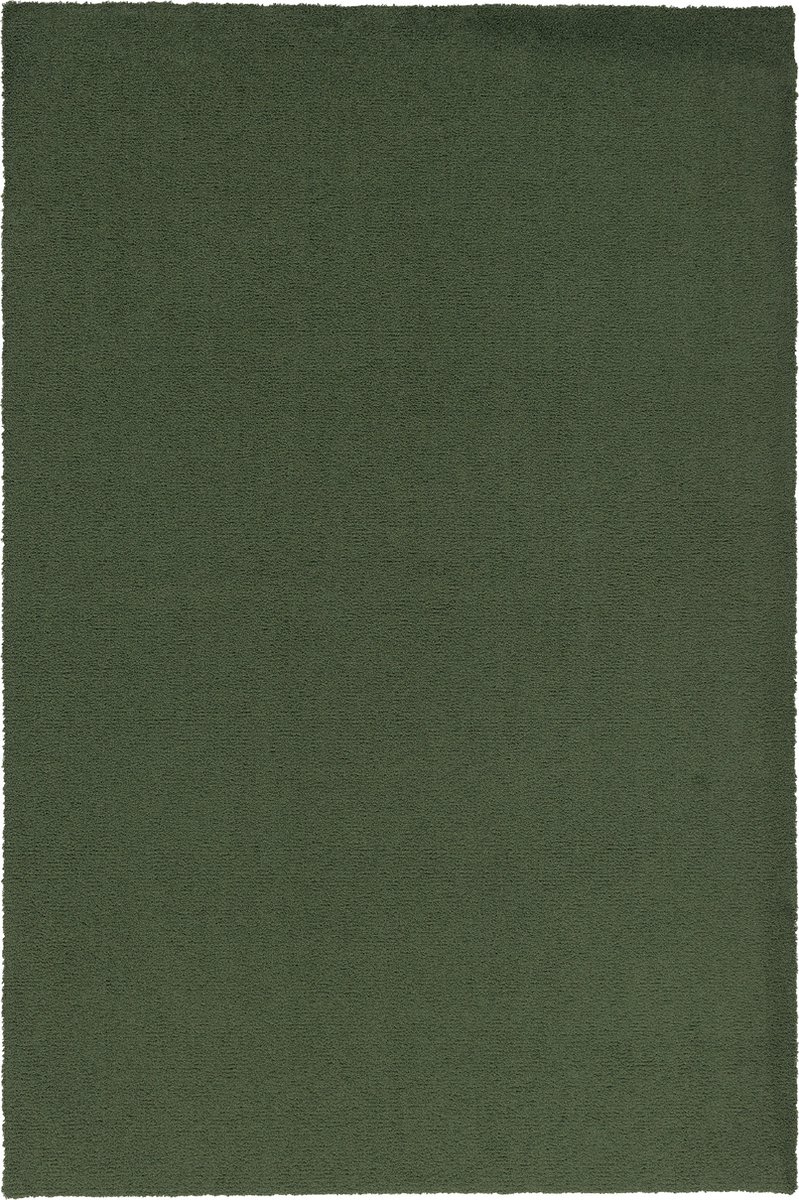 Snapstyle Vloerkleed Luxe Shaggy Fluweel Groen